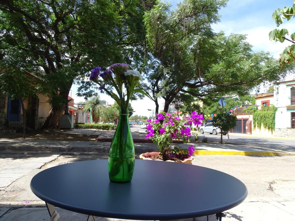Alojamiento Jalatlaco - Car Rental! Estacionamiento En La Calle Sujeto A Disponibilidad Oaxaca Dış mekan fotoğraf